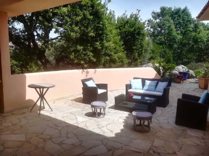 Terrasse arrière